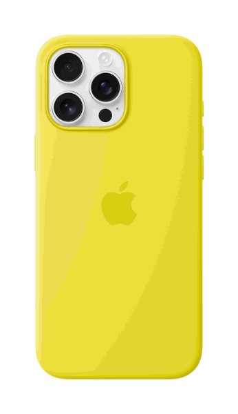 Apple iPhone 16 Pro Max Silikon Case mit MagSafe, Sternfrucht