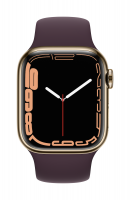 Apple Watch Series 7 Edelstahl Gold